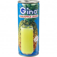 Gina Pineapple Juice 250 gm x 24