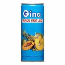 Gina Tropical Fruit Juice 250 gm x 24